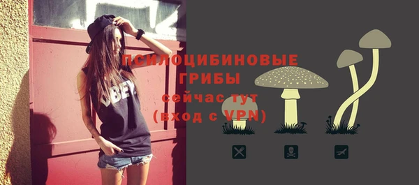 мескалин Арсеньев