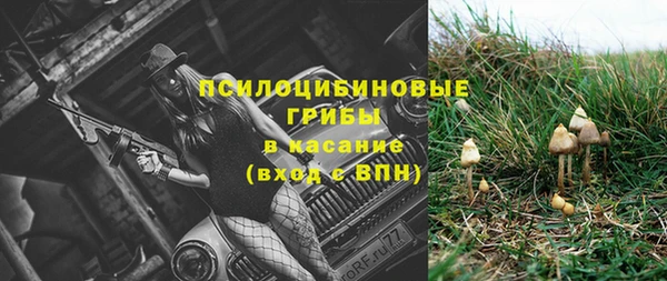 мескалин Арсеньев