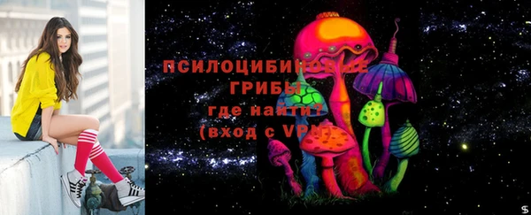 мескалин Арсеньев