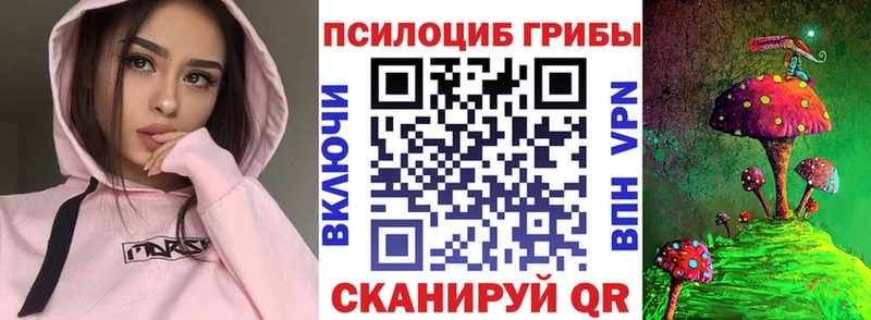 Галлюциногенные грибы Magic Shrooms  Курганинск 
